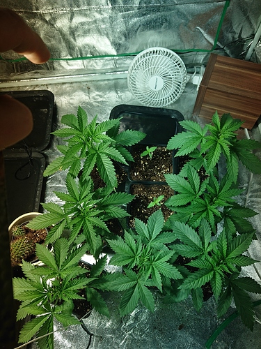 Growreport Bild 23