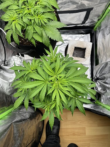 Growreport Bild 12
