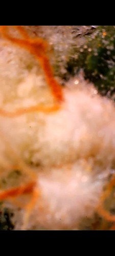 Growreport Bild 21