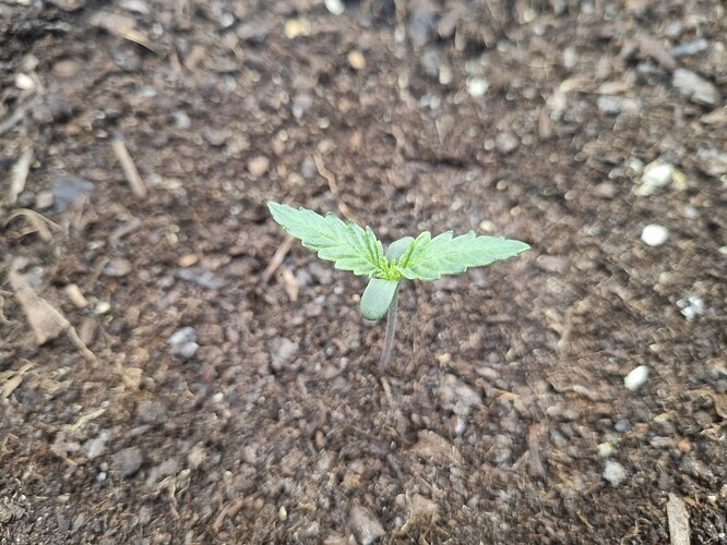 Growreport Bild 11