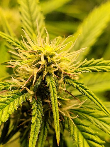Growreport Bild 11