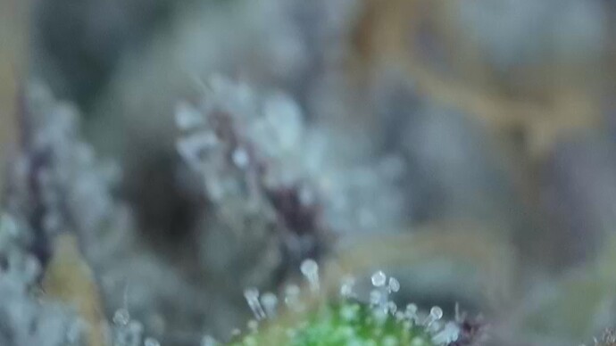 2022-06-25-032013659