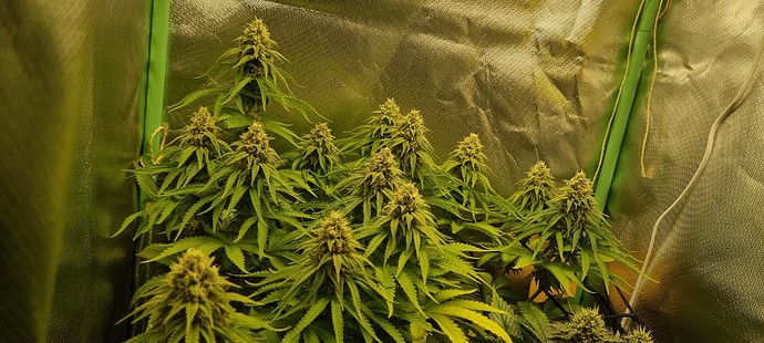 Growreport Bild 10