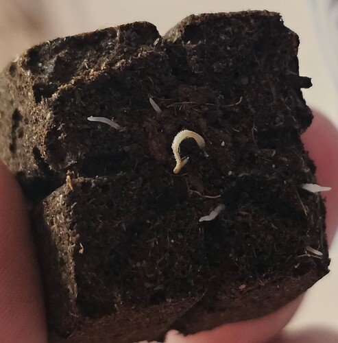 Growreport Bild 17