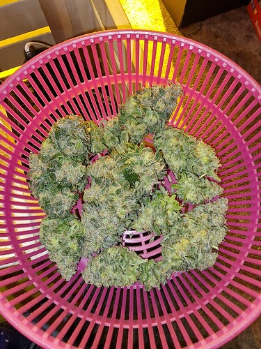 1000011897