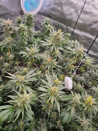 Growreport Bild 12
