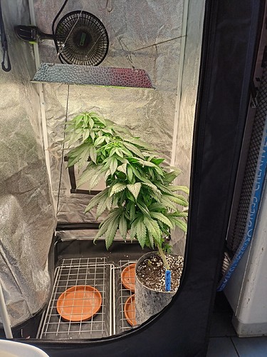 Growreport Bild 2