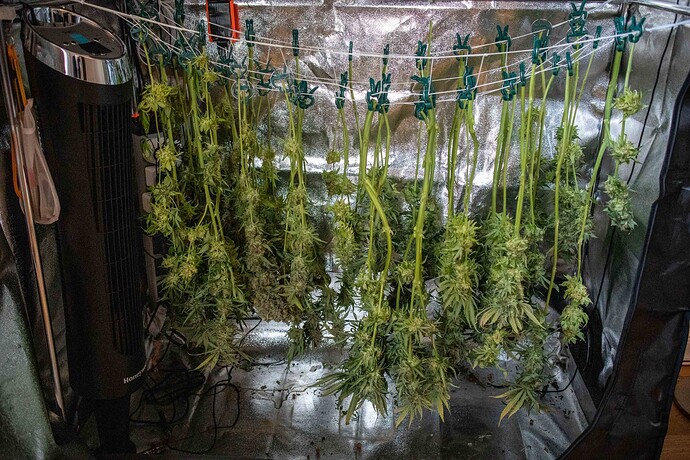 Growreport Bild 37