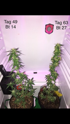 Growreport Bild 3