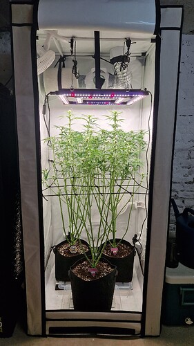 Growreport Bild 2