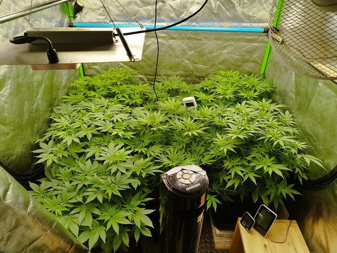 Growreport Bild 3