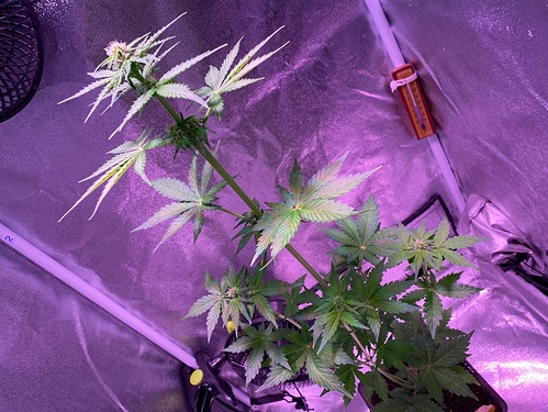 Growreport Bild 24