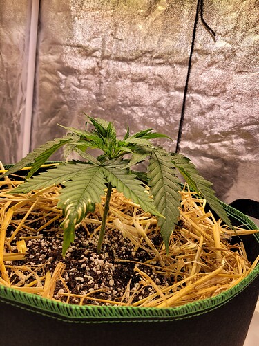 Growreport Bild 10