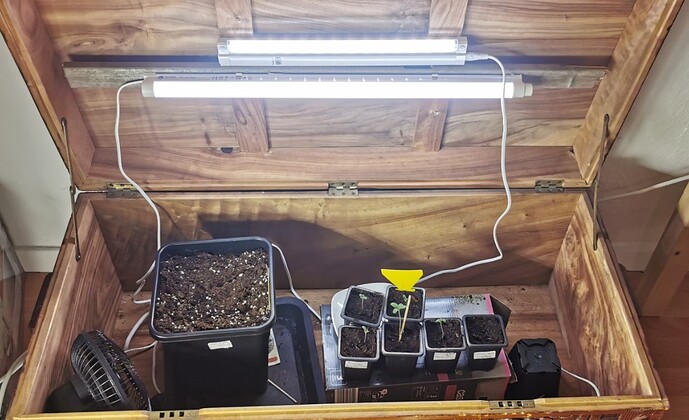 Growreport Bild 45