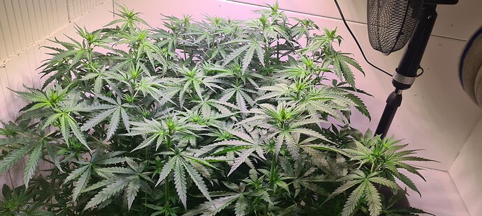 Growreport Bild 11
