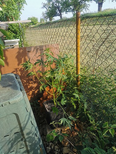 Growreport Bild 2