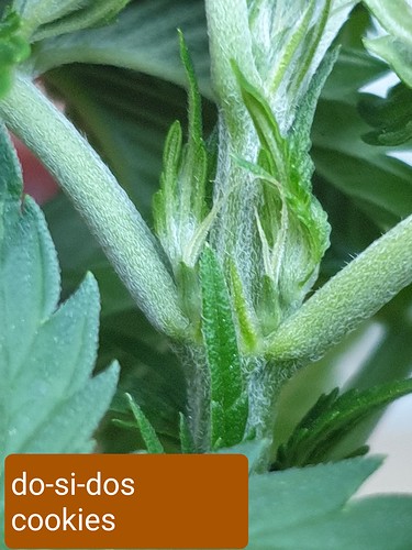 Growreport Bild 14