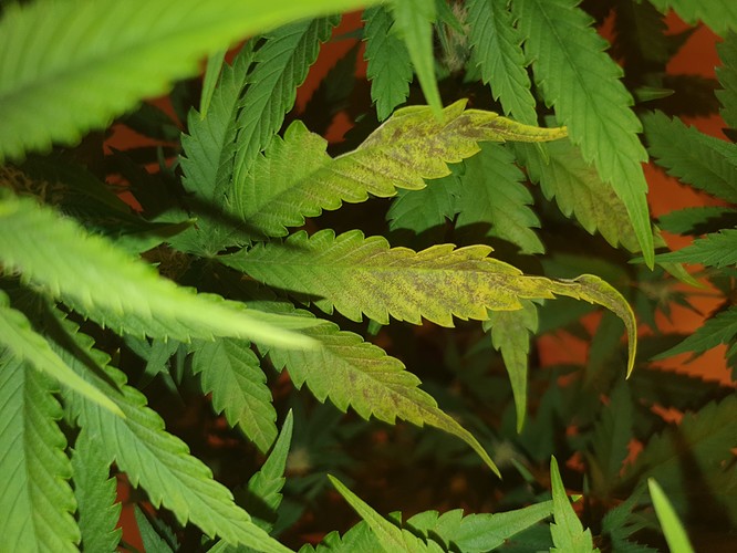 Growreport Bild 11