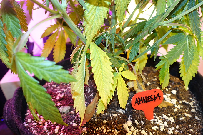 Growreport Bild 12