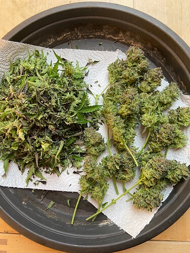 Growreport Bild 14
