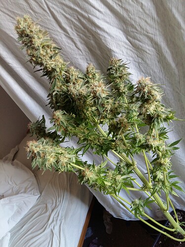 Growreport Bild 21