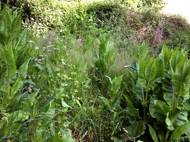 Growreport Bild 27