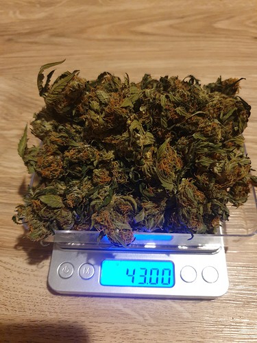 Growreport Bild 9