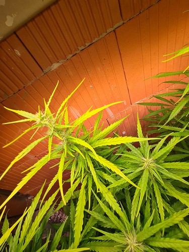 Growreport Bild 10