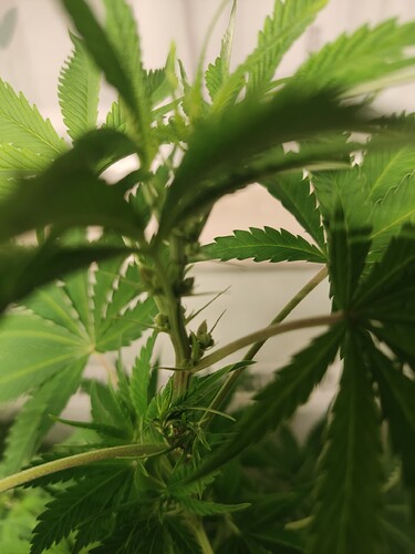 Growreport Bild 3