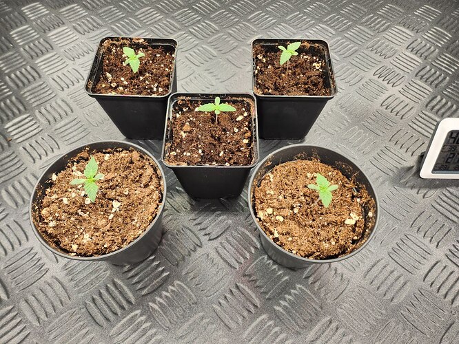 photo_2023-08-03_17-15-45