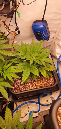Growreport Bild 5