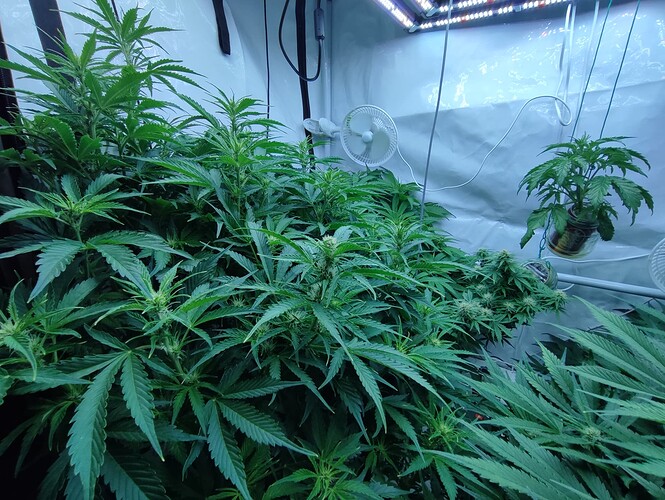 Growreport Bild 18