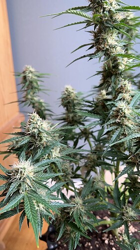 signal-2022-10-24-210734_003