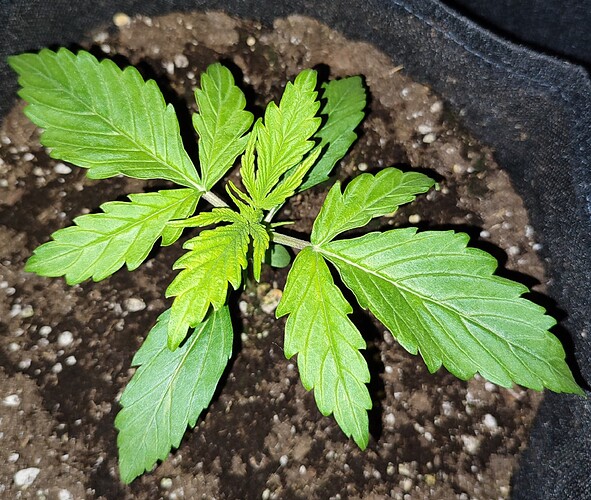 Growreport Bild 17