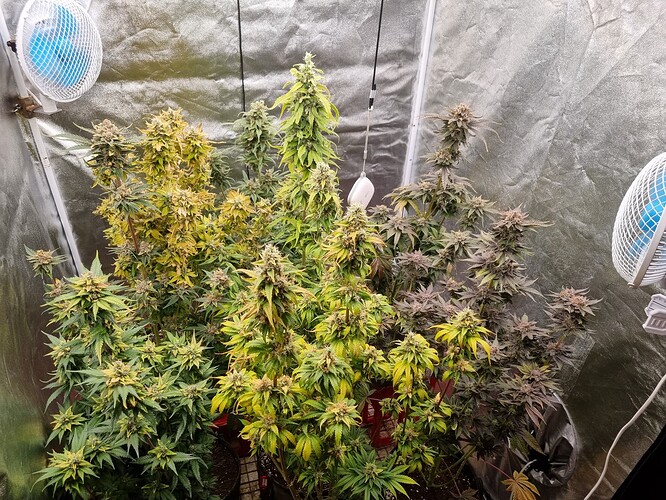 Growreport Bild 9