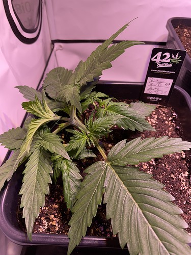 Growreport Bild 24