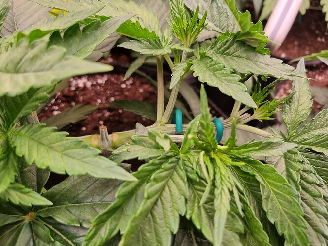 Growreport Bild 14