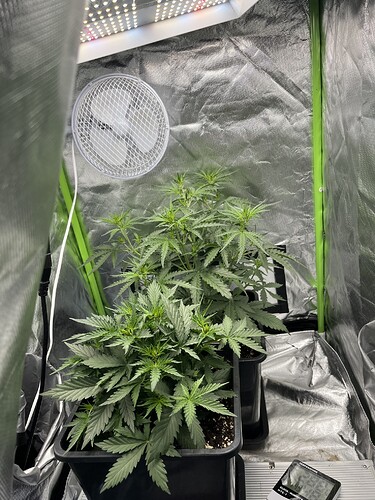 Growreport Bild 26