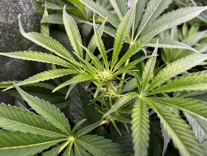 Growreport Bild 26
