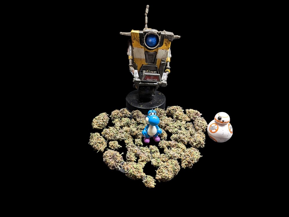 💚 Cann(abis) denn Sünde sein? Sativa Dream und Super OG Kush Kannabia
