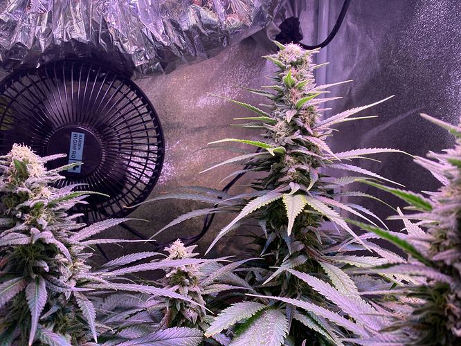 Growreport Bild 18
