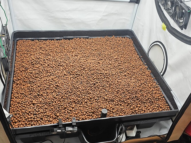 Growreport Bild 7