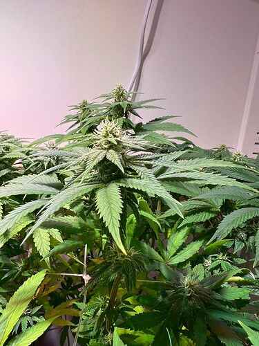 Growreport Bild 9