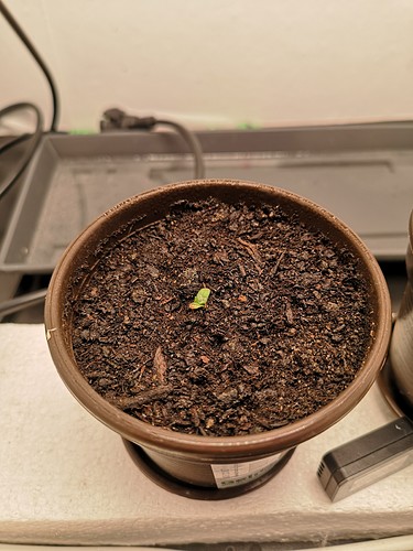 Growreport Bild 1