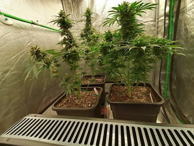 Growreport Bild 14