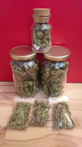 Growreport Bild 26