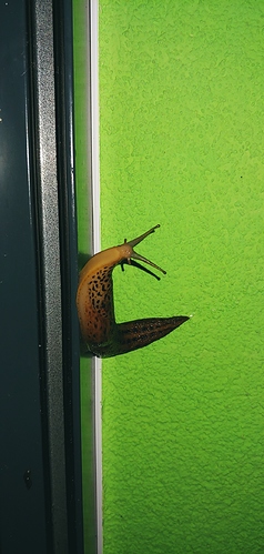20180716_234041