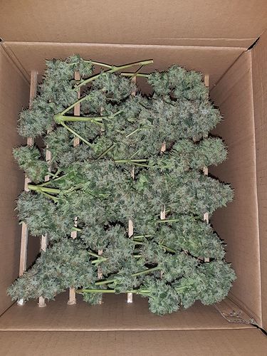 Growreport Bild 10