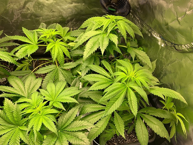 Growreport Bild 12