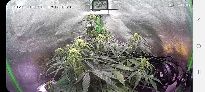 Screenshot_20220129-143927_HiKam Pro
